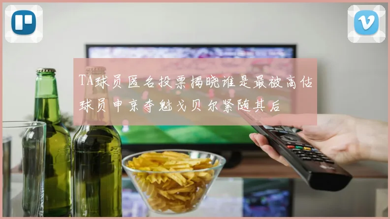 TA球员匿名投票揭晓谁是最被高估球员申京夺魁戈贝尔紧随其后