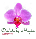 ORCHIDS BY MAGDA